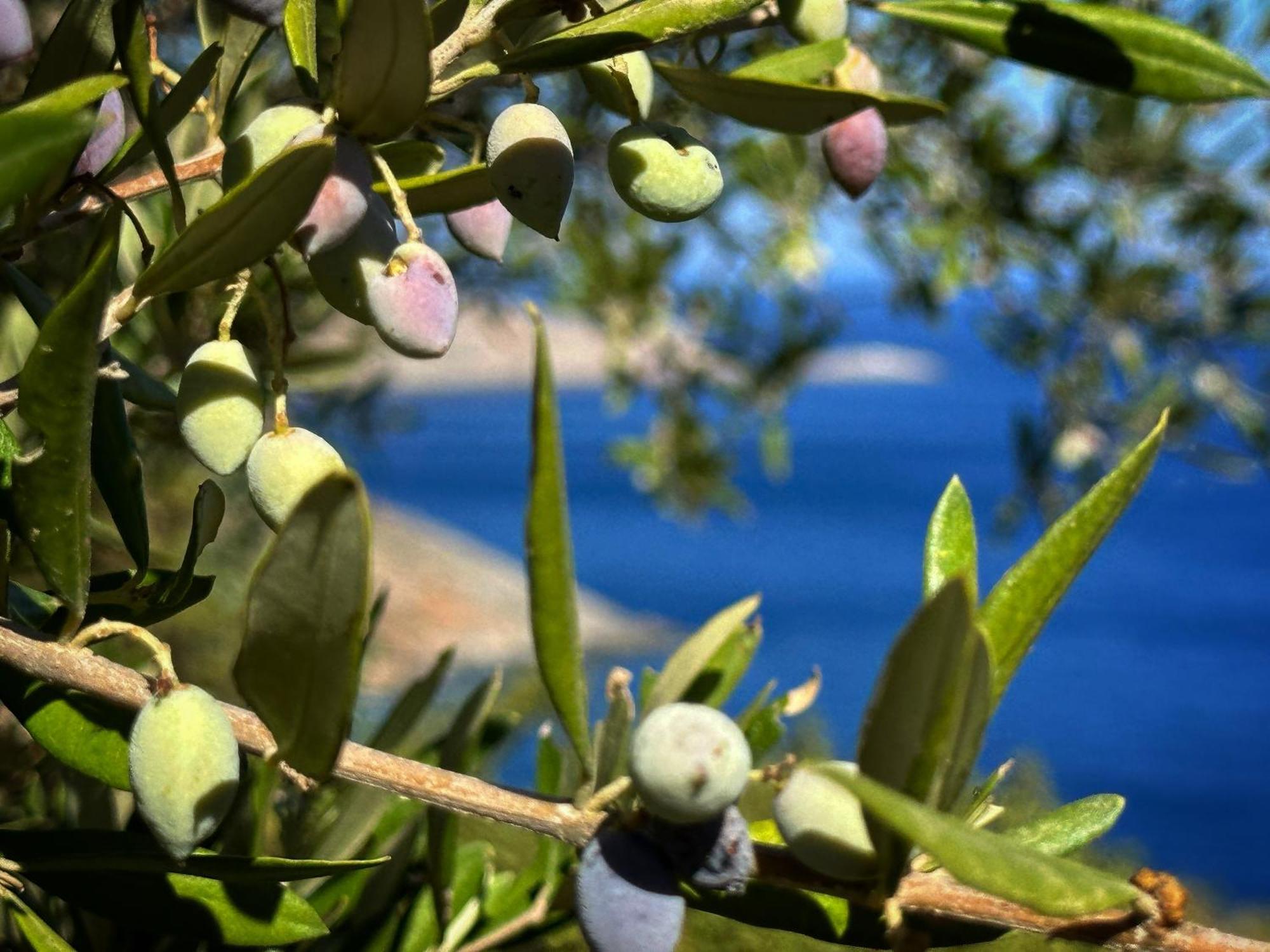 Maison Meltem Agia Pelagia  Bagian luar foto